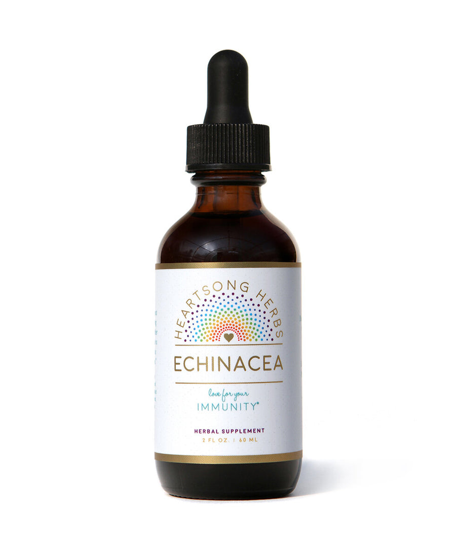 Echinacea | Immunity